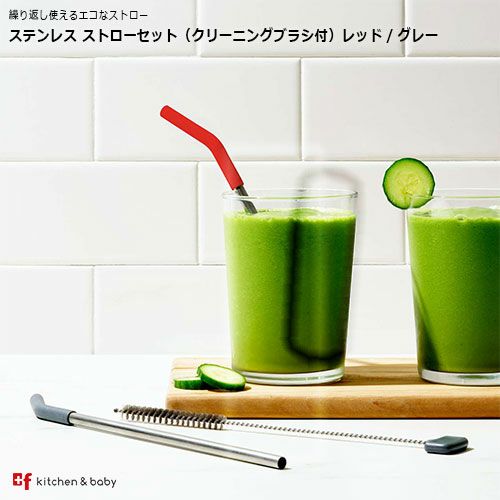 OXO ステンレス ストローセット（クリーニングブラシ付）レッド/グレー